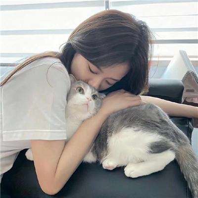 狮子今夜入睡